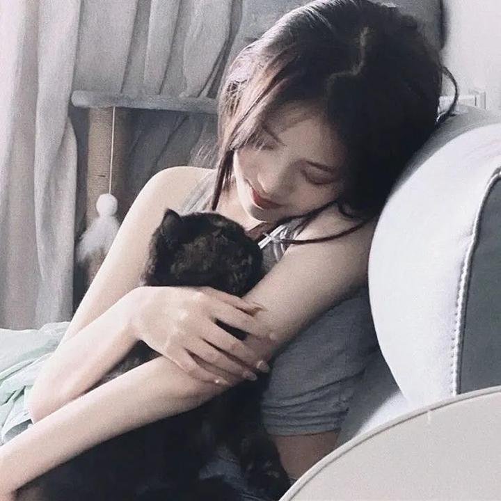 托托的色彩美学观